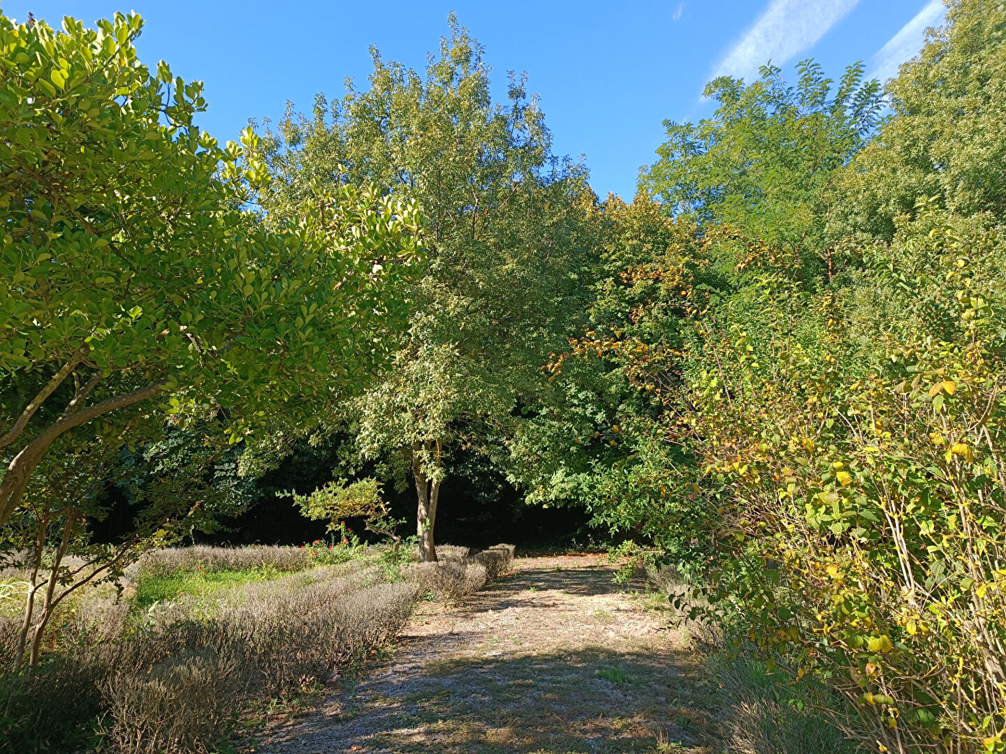 Photo Demeure de prestige Narbonne 22 pièce(s) 1496 m2 image 6/6