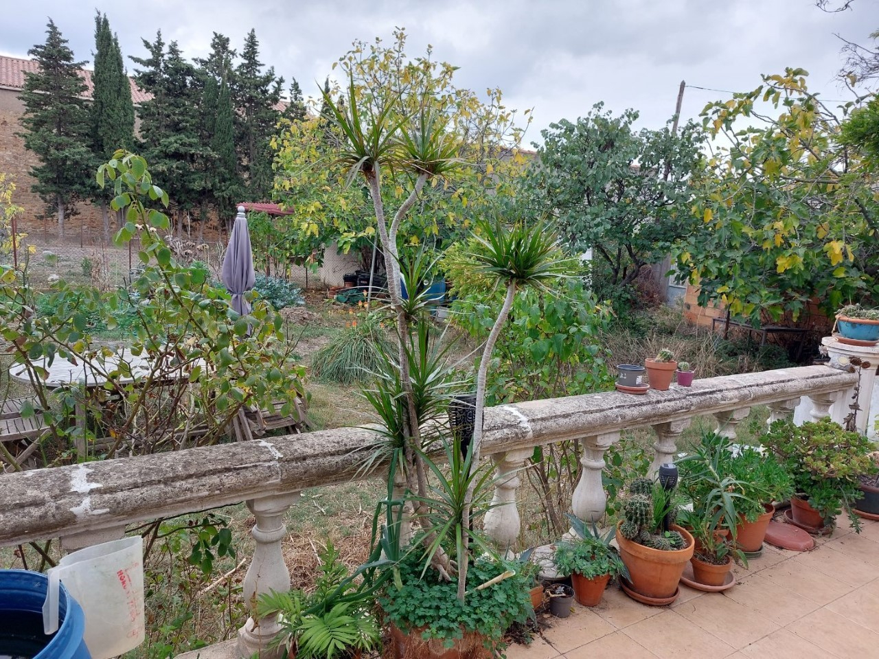 Photo Maison Saint Andre De Roquelongue 5 pièce(s) image 1/6