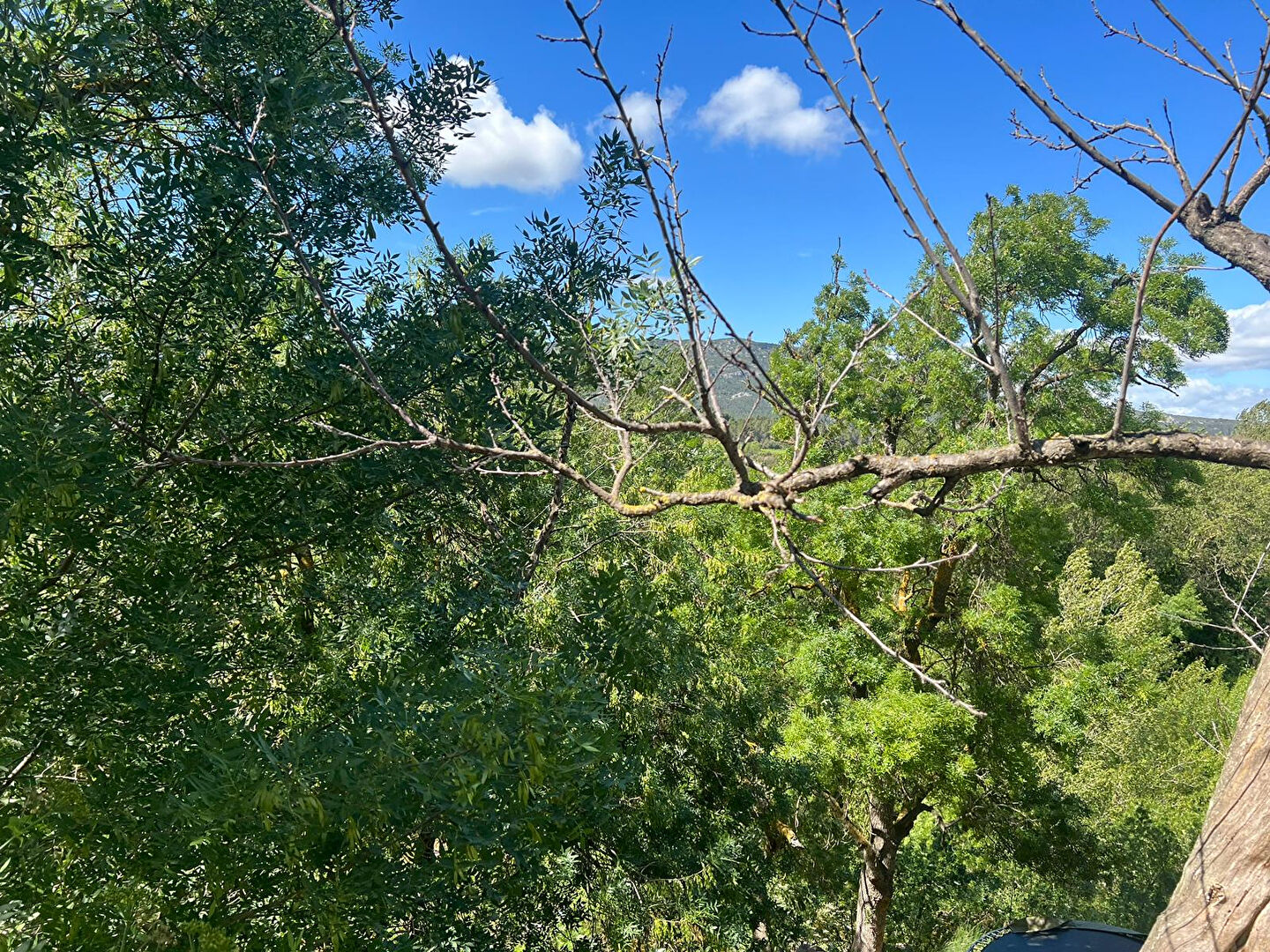 Photo Immeuble Ribaute 104 m2 image 6/6