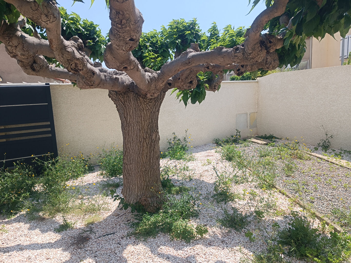 Photo MAISON image 2/6