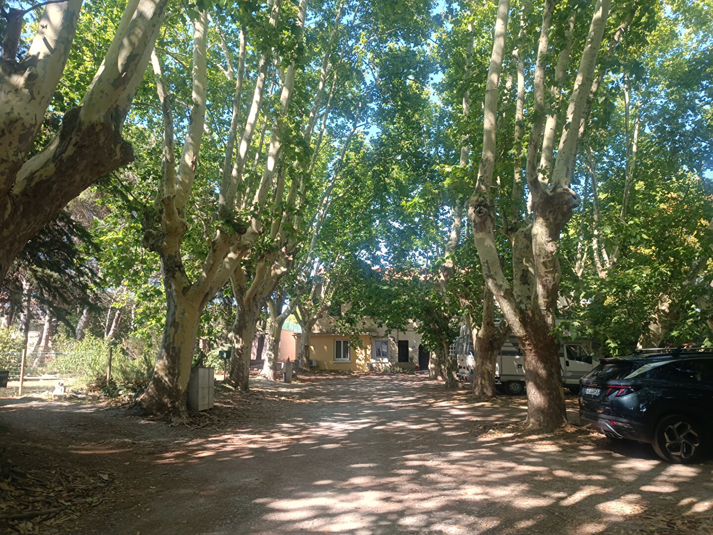 Photo Appartement dans domaine image 1/6