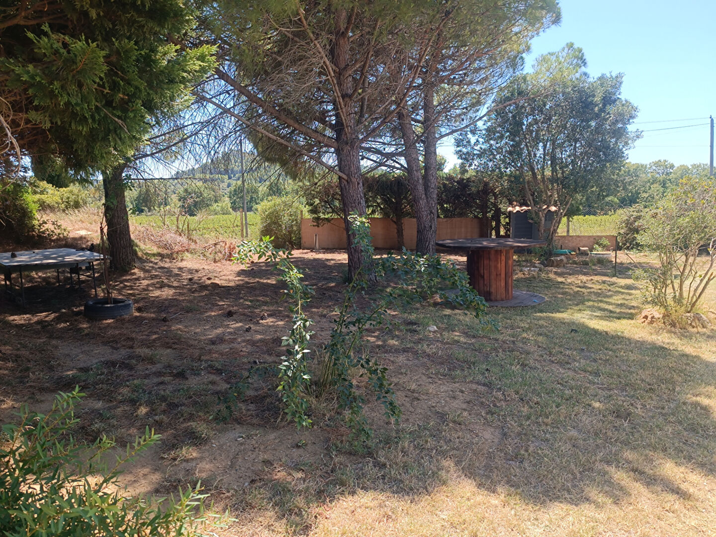 Photo VILLA T5 avec piscine sur 3075m² de terrain image 6/6