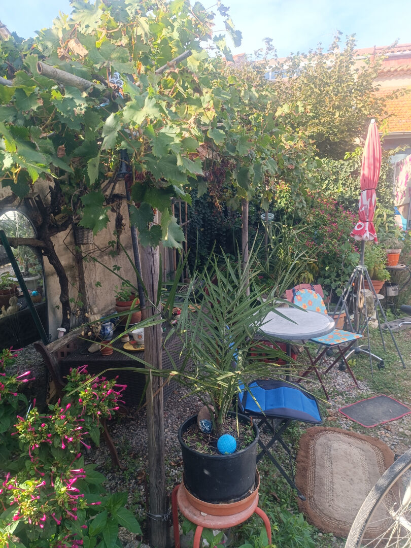 Photo Ensemble immobilier image 2/6