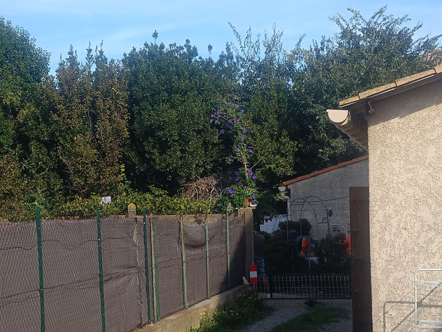 Photo Ensemble immobilier image 4/6