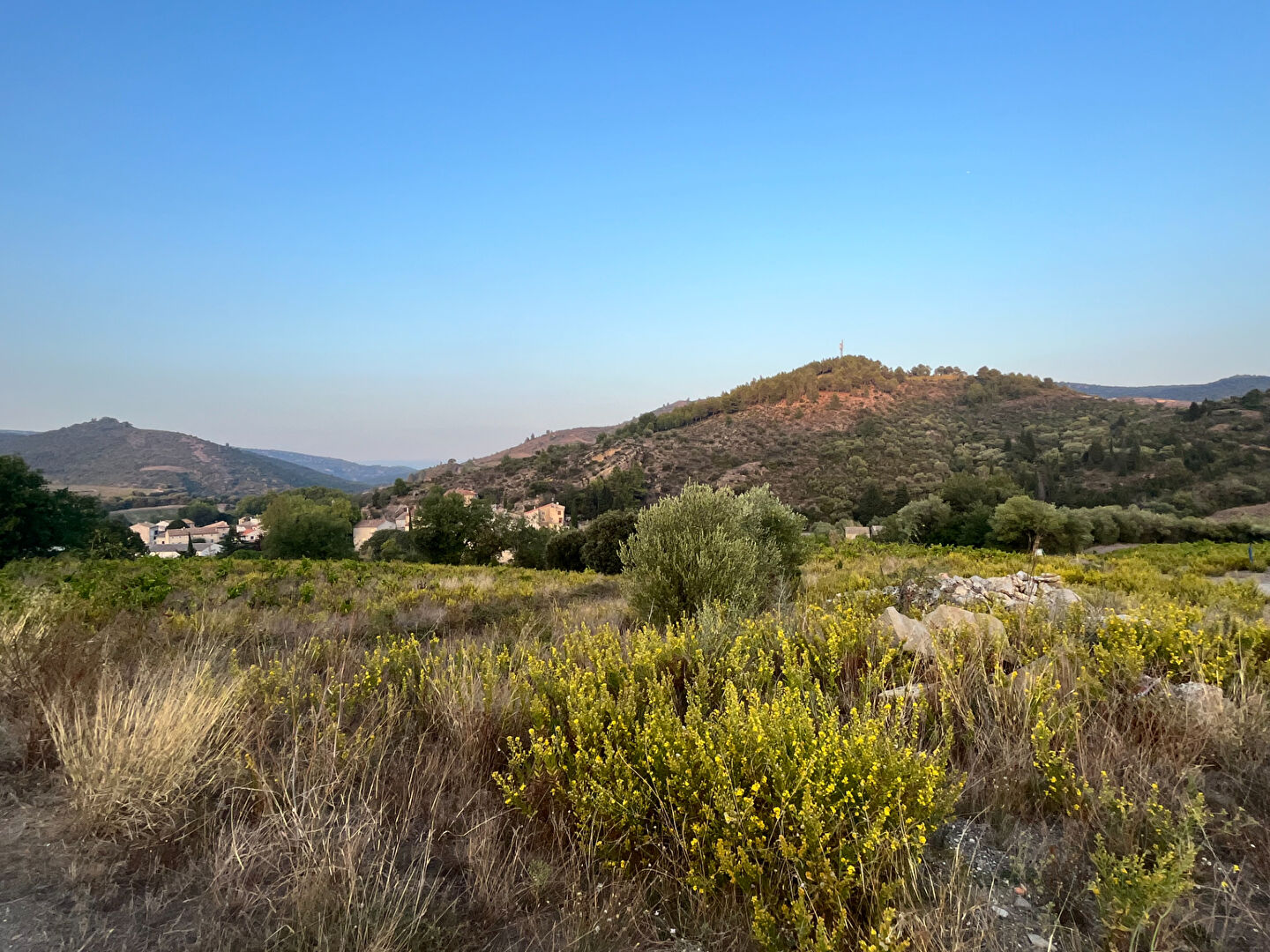 Photo Terrain Villeneuve Les Corbieres 700 m2 image 3/4