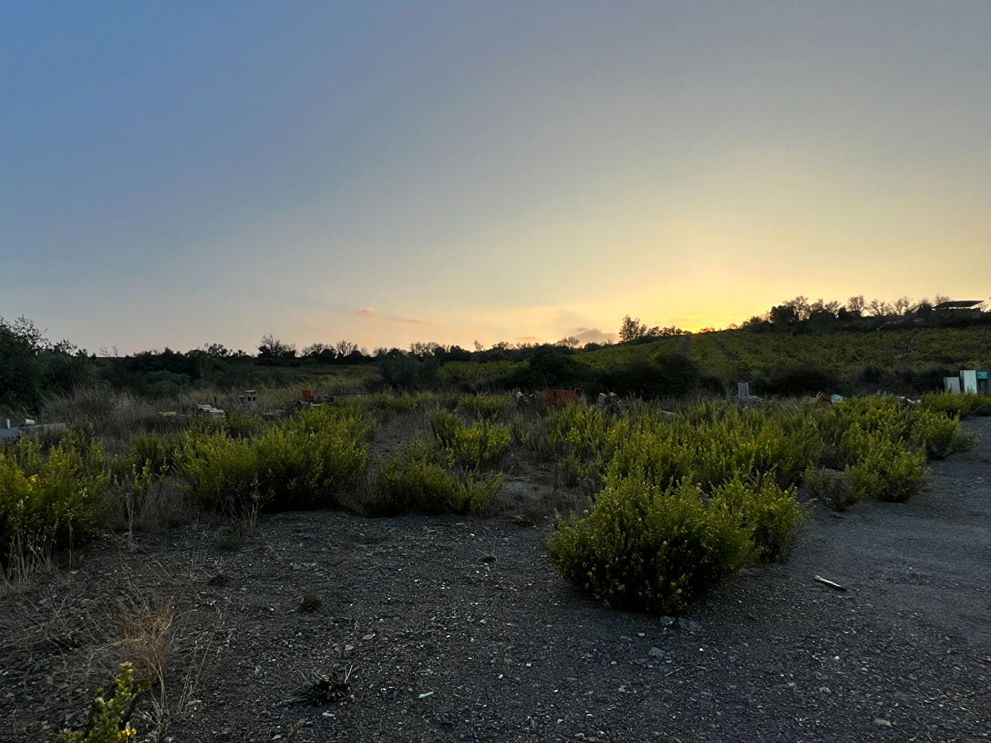 Photo Terrain Villeneuve Les Corbieres 700 m2 image 4/4