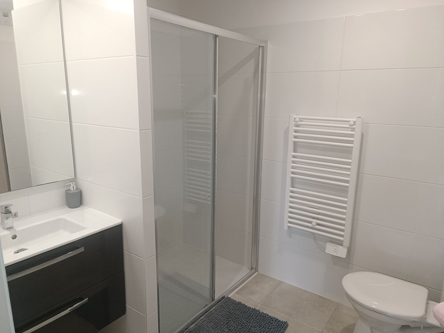 Photo APPARTEMENT T2 DANS RESIDENCE image 6/6