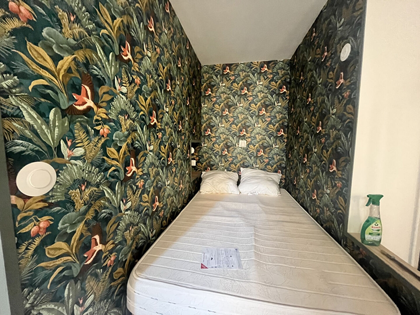 Photo Appartement Narbonne 1 pièce(s) 20 m2 image 4/5