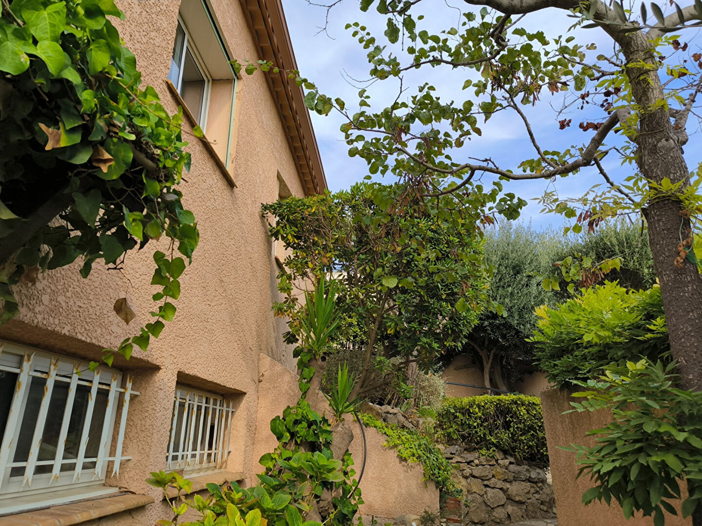 Photo Maison Narbonne 6 pièce(s) 172 m2 image 3/6