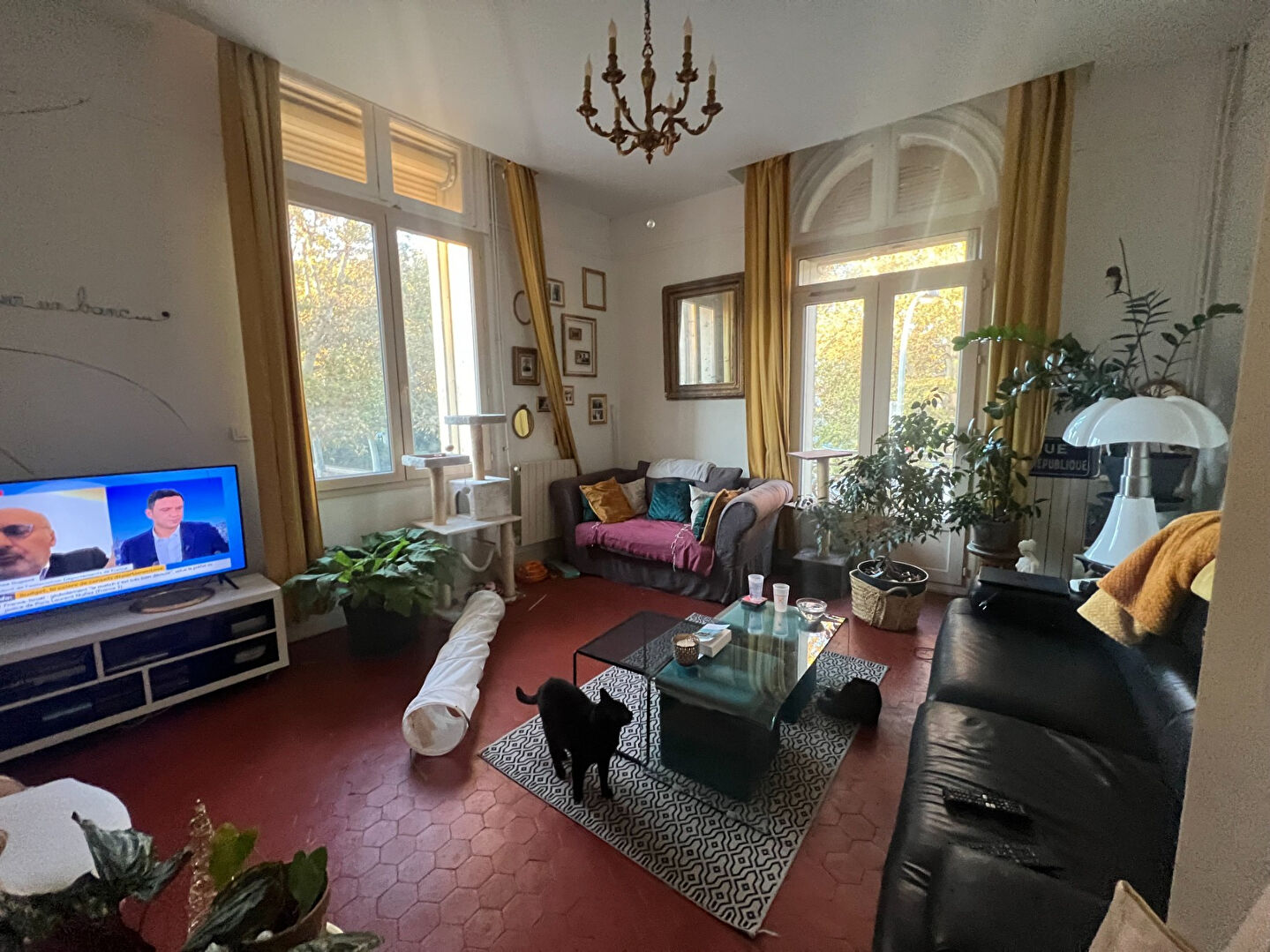 Agence immobilière de AGENCE BELLISSIMMO Narbonne