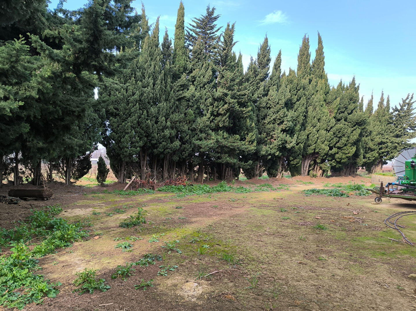 Photo Maison T6 140m² Narbonne 1600m² de terrain image 6/6