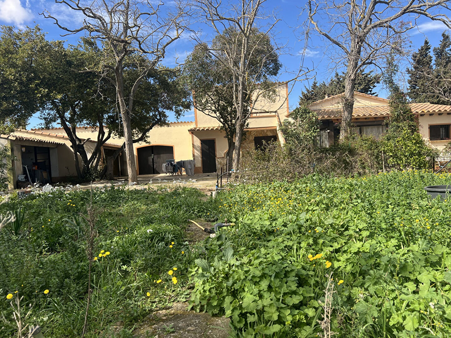 Photo Maison Narbonne 4 pièce(s) 93 m2 image 2/6