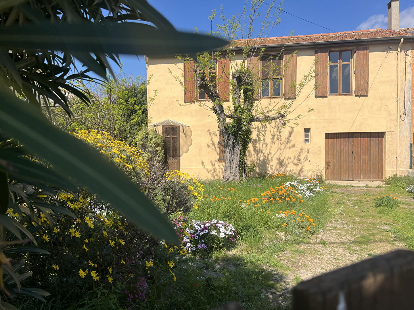 Photo Maison Narbonne 6 pièce(s) 140 m2 image 1/6