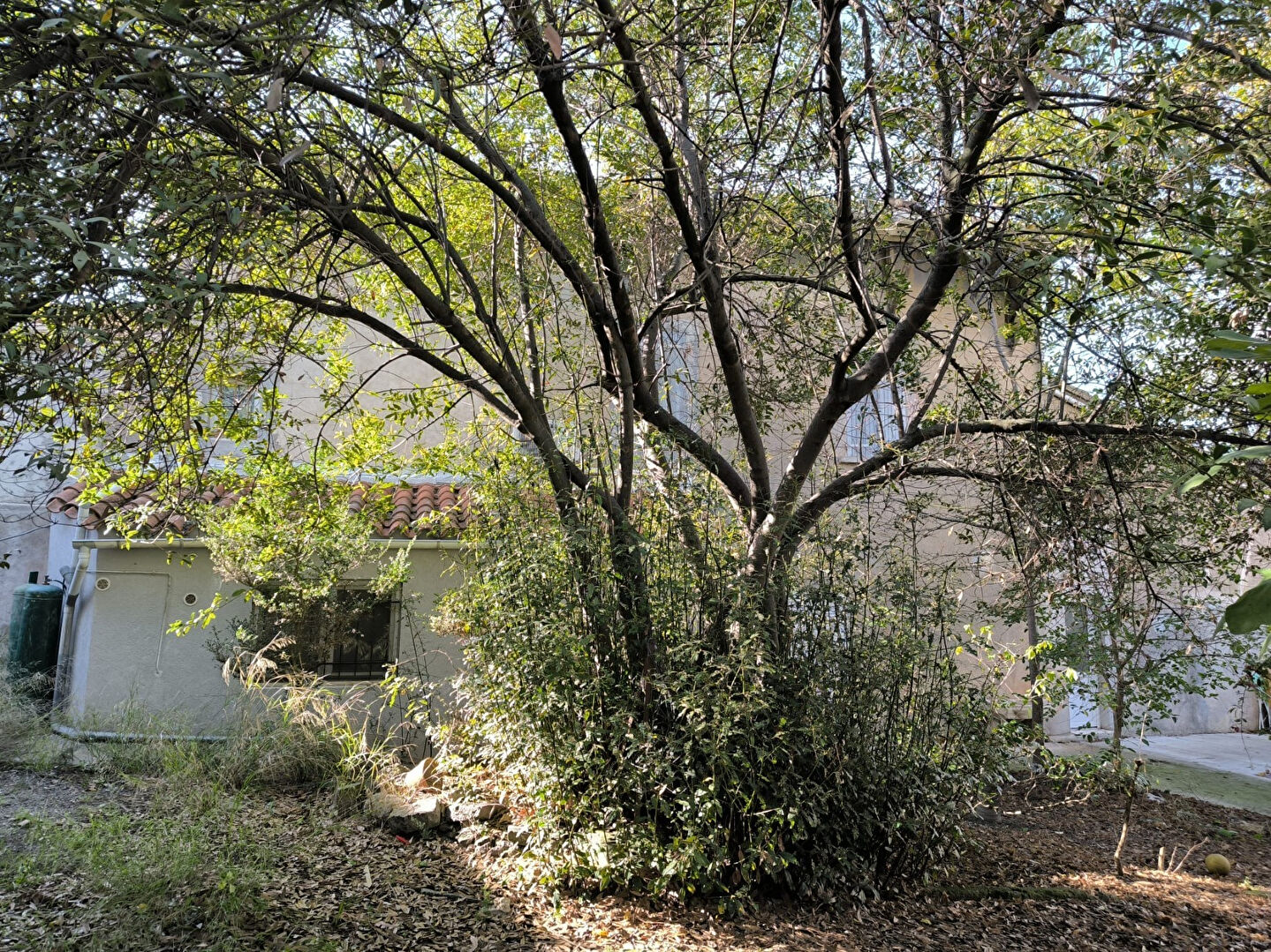 Maison Oupia 5 pièce(s) 160 m2