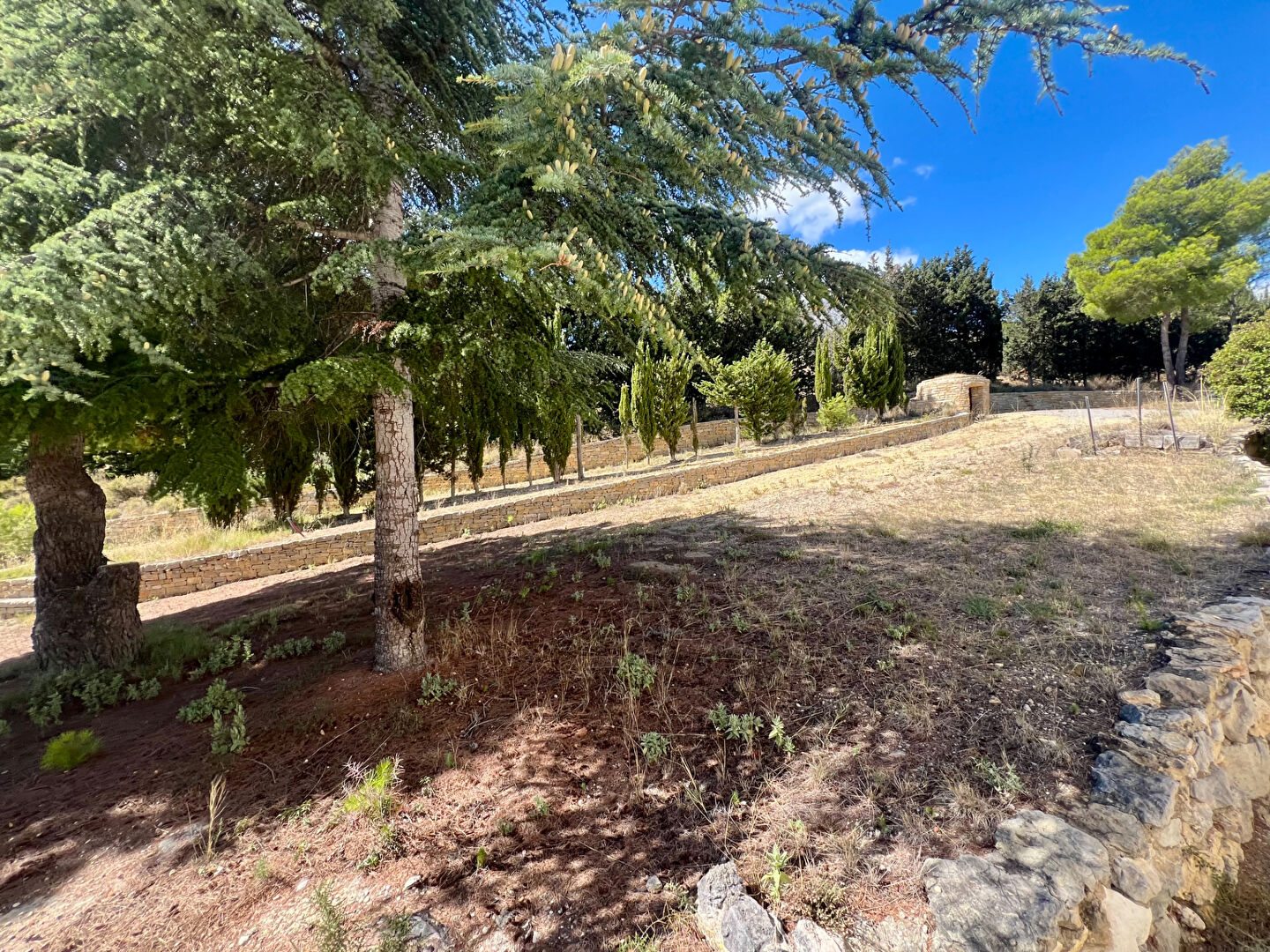 Photo Maison Narbonne 6 pièce(s) 193 m2 image 2/6