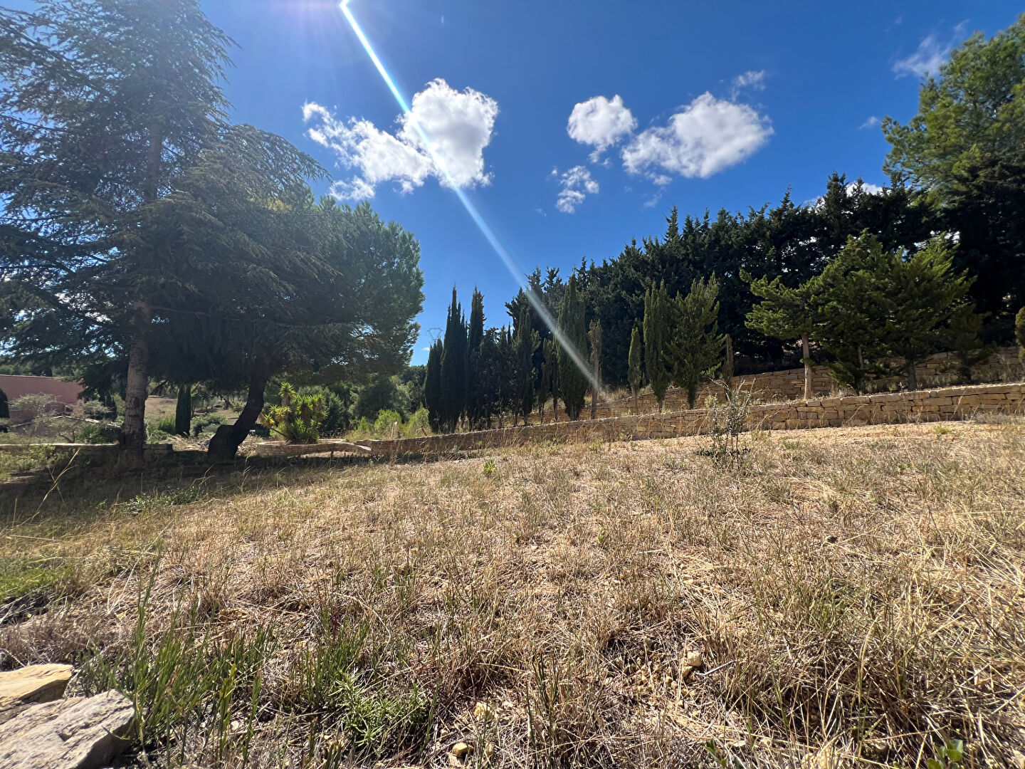 Photo Maison Narbonne 6 pièce(s) 193 m2 image 4/6