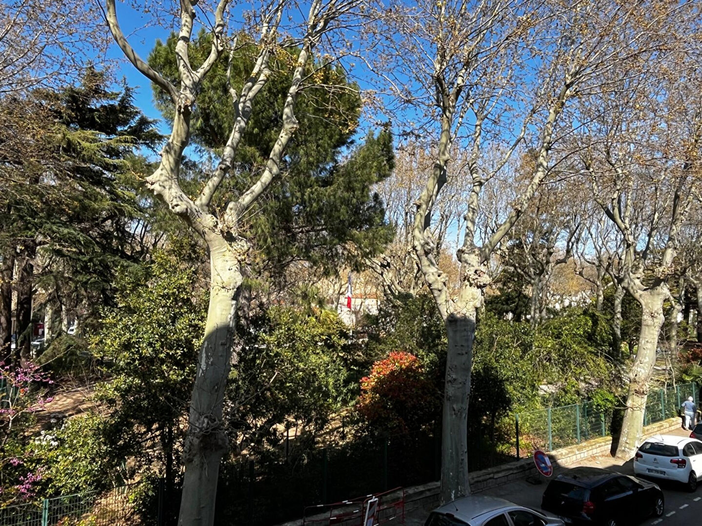 Agence immobilière de AGENCE BELLISSIMMO Narbonne
