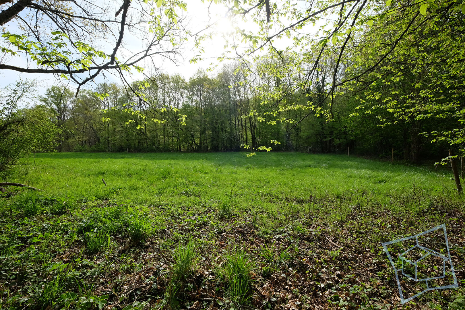 Photo Terrain Chevreuse 3900 m2 image 3/3