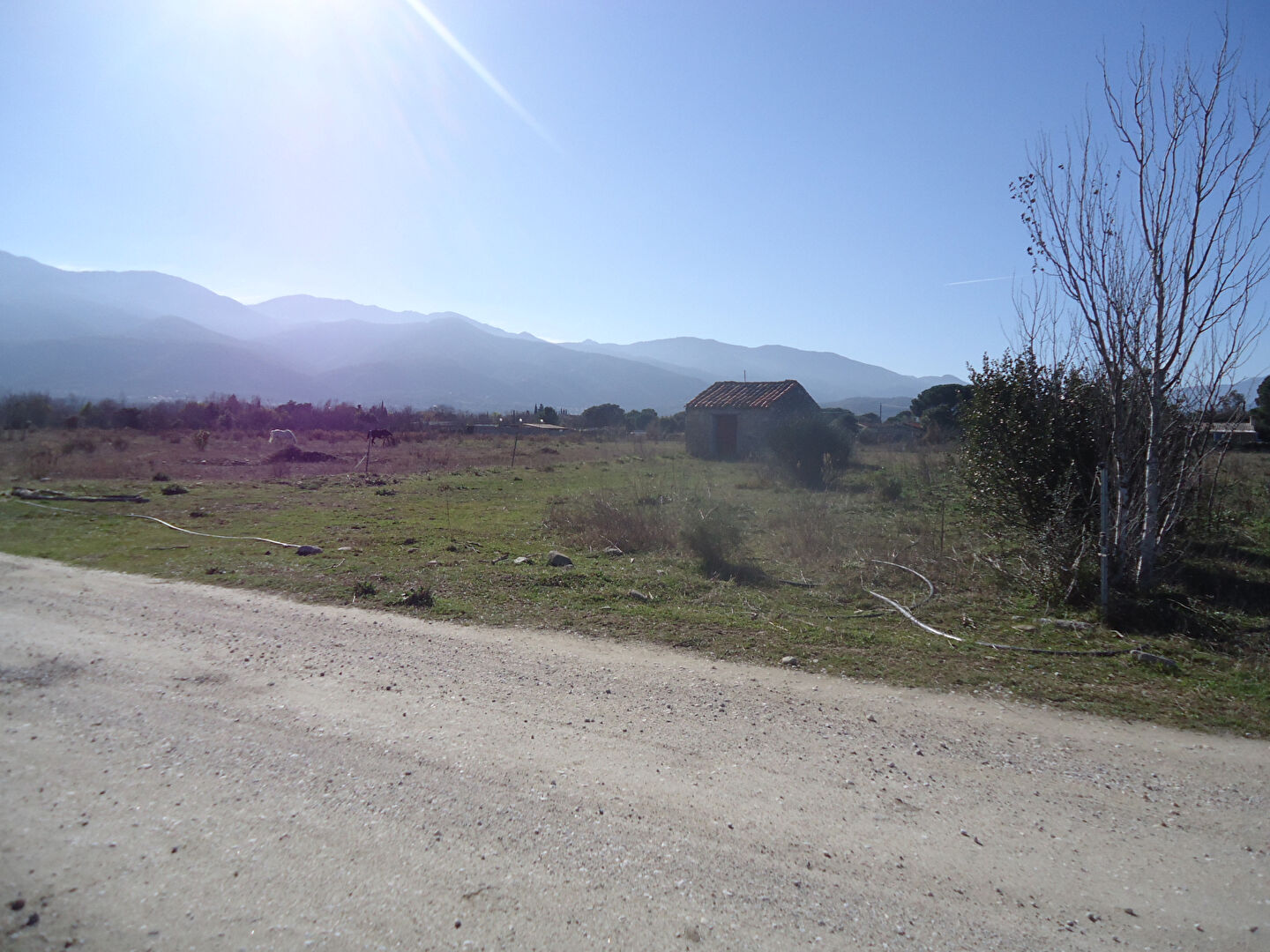 Photo ENTRE CERET ET SAINT JEAN PLA DE CORTS image 2/5