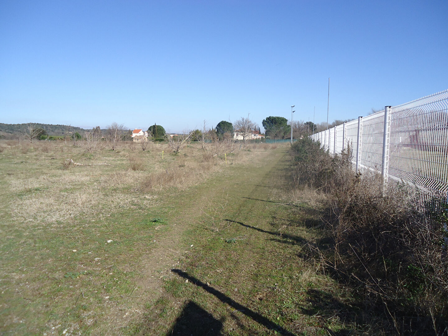 Photo ENTRE CERET ET SAINT JEAN PLA DE CORTS image 3/5