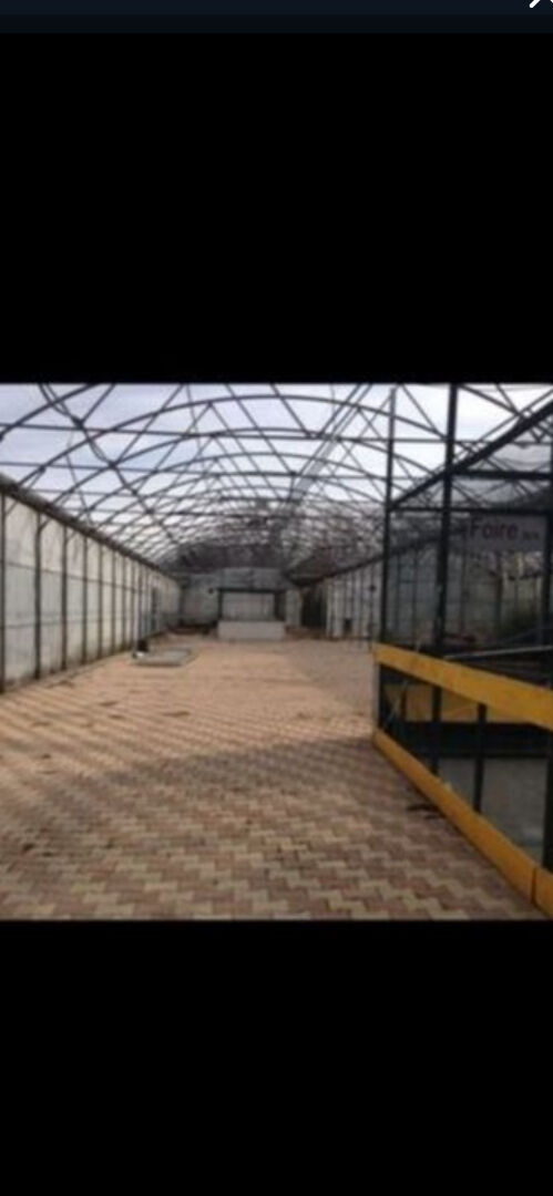 Photo ENTRE CERET ET SAINT JEAN PLA DE CORTS image 5/5