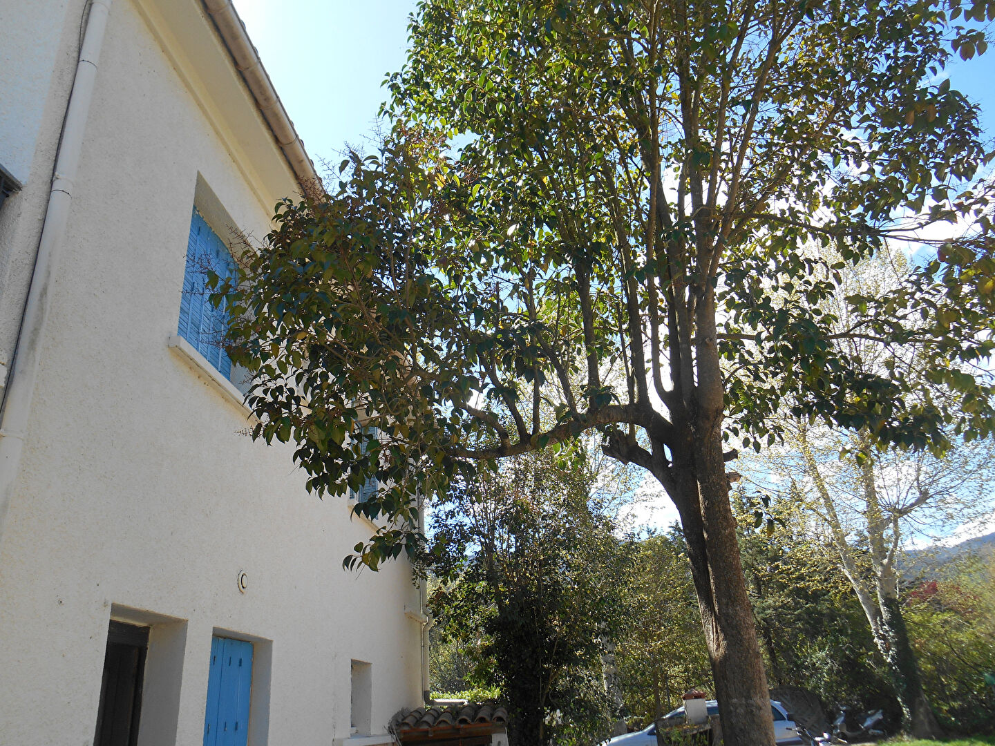 Photo CERET PROCHE CENTRE VILLE image 5/6