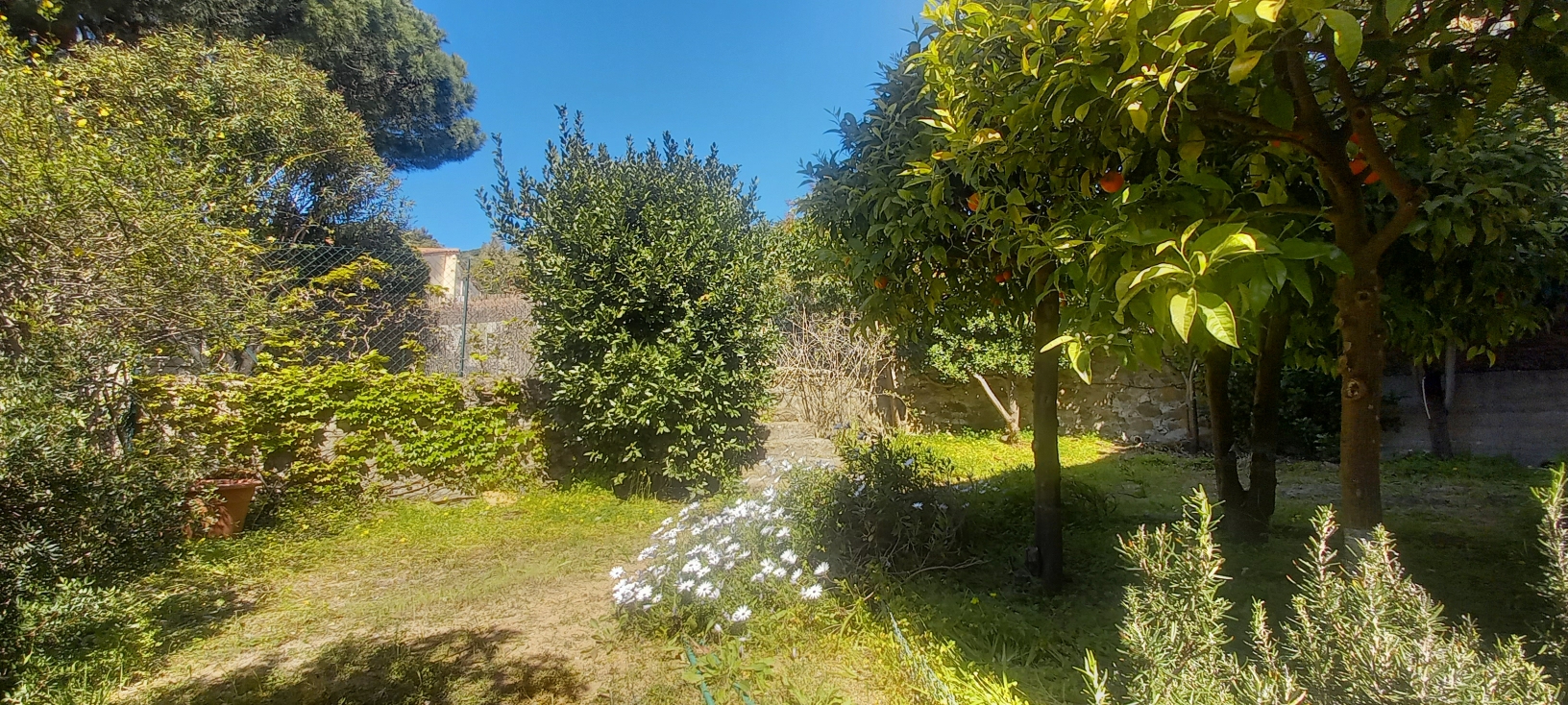 Agence immobilière de AGENCE LE PORTIQUE Le lavandou