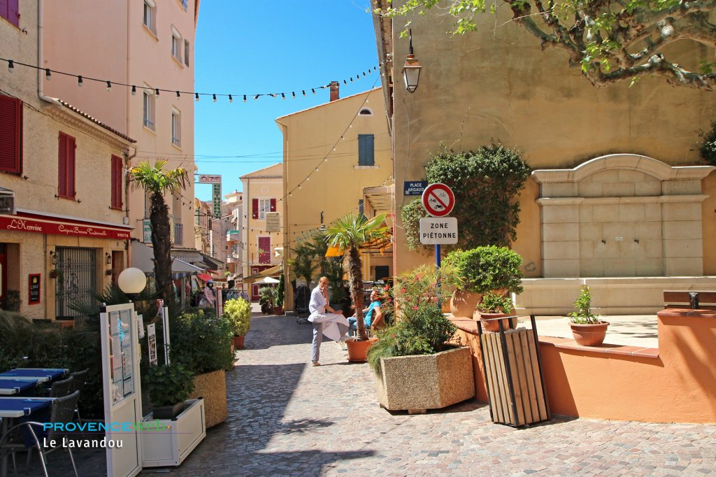 Agence immobilière de AGENCE LE PORTIQUE Le lavandou