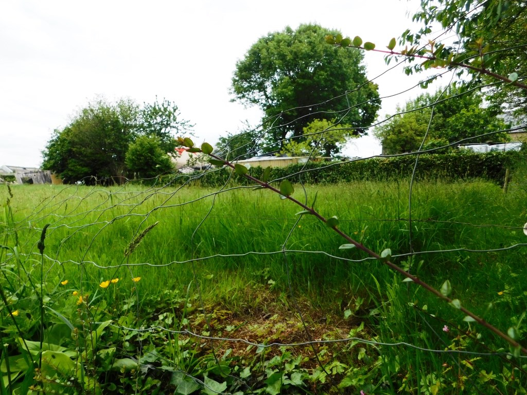 TERRAIN A BATIR LES PORTES DU COGLAIS - 875 m2
