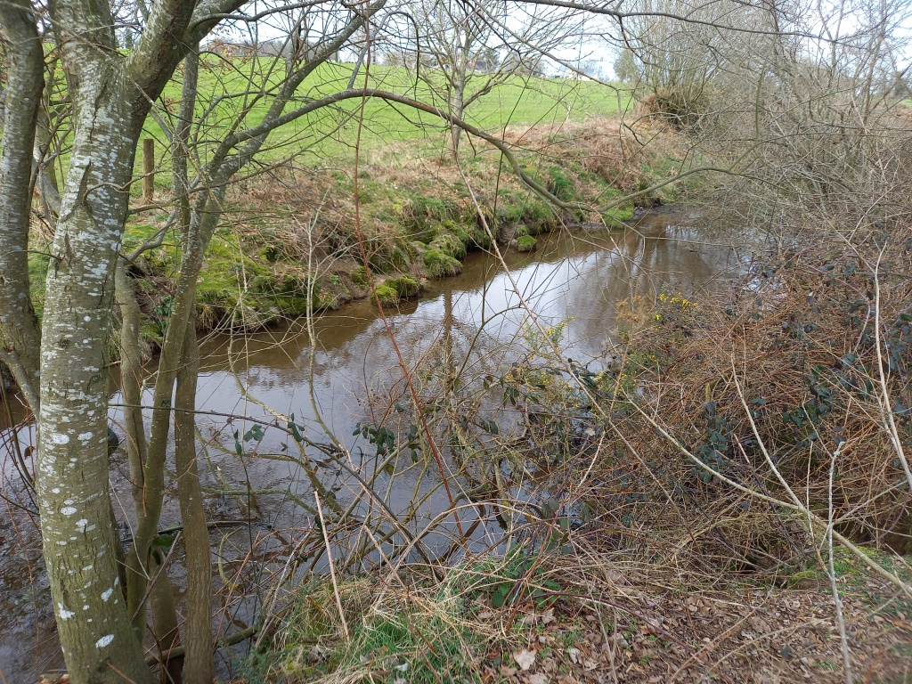 Photo TERRAIN DE LOISIR image 1/5