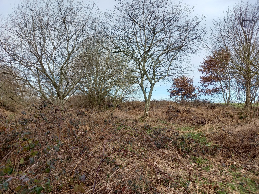 Photo TERRAIN DE LOISIR image 2/5