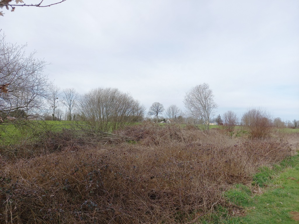 Photo TERRAIN DE LOISIR image 3/5