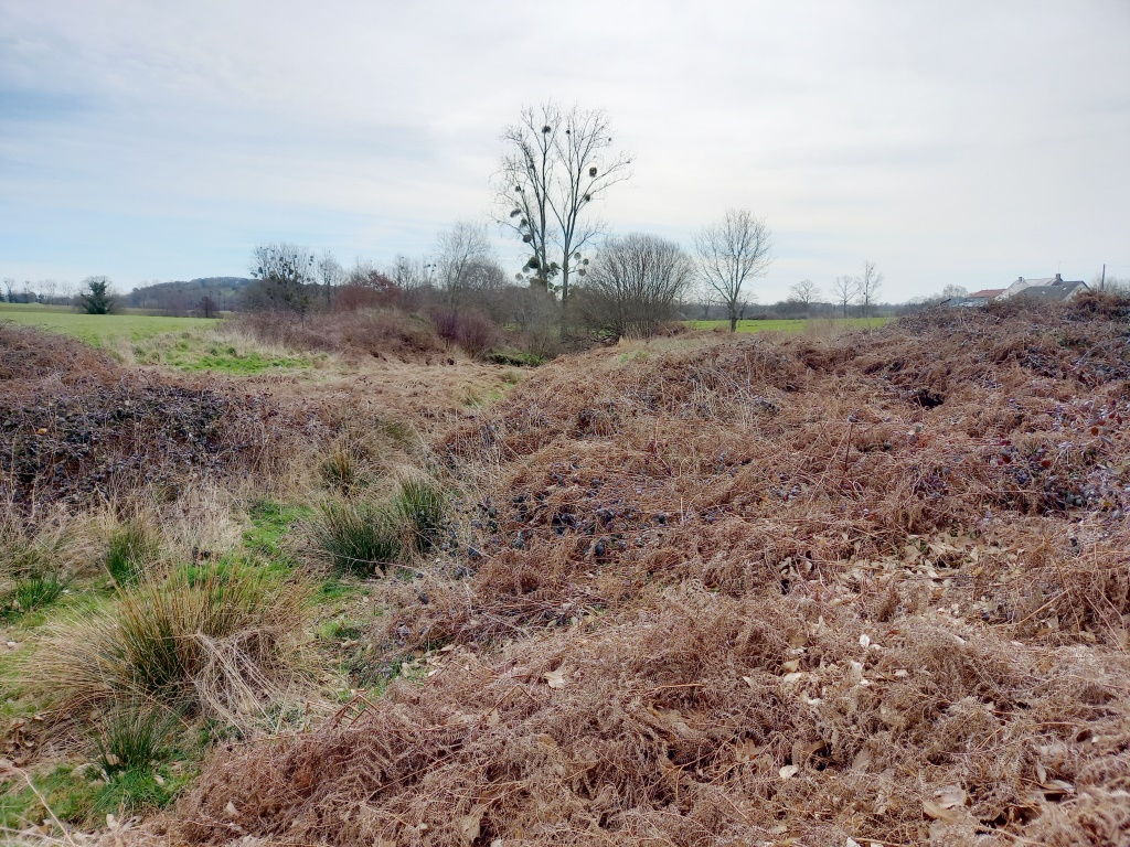 Photo TERRAIN DE LOISIR image 4/5