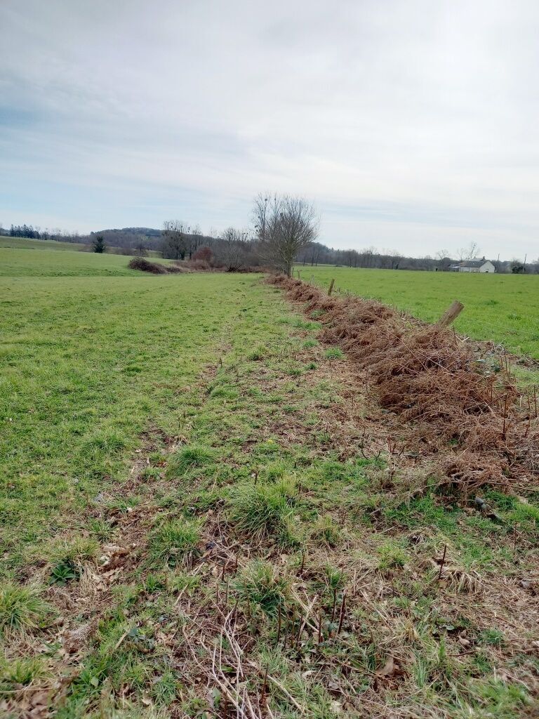 Photo TERRAIN DE LOISIR image 5/5