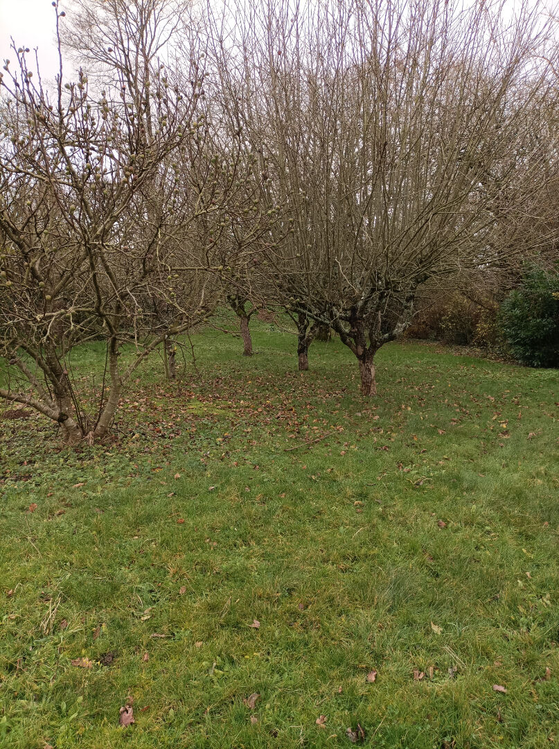 Photo TERRAIN CONSTRUCTIBLE 2189m² MAEN ROCH - ST BRICE EN COGLES CENTRE image 3/4