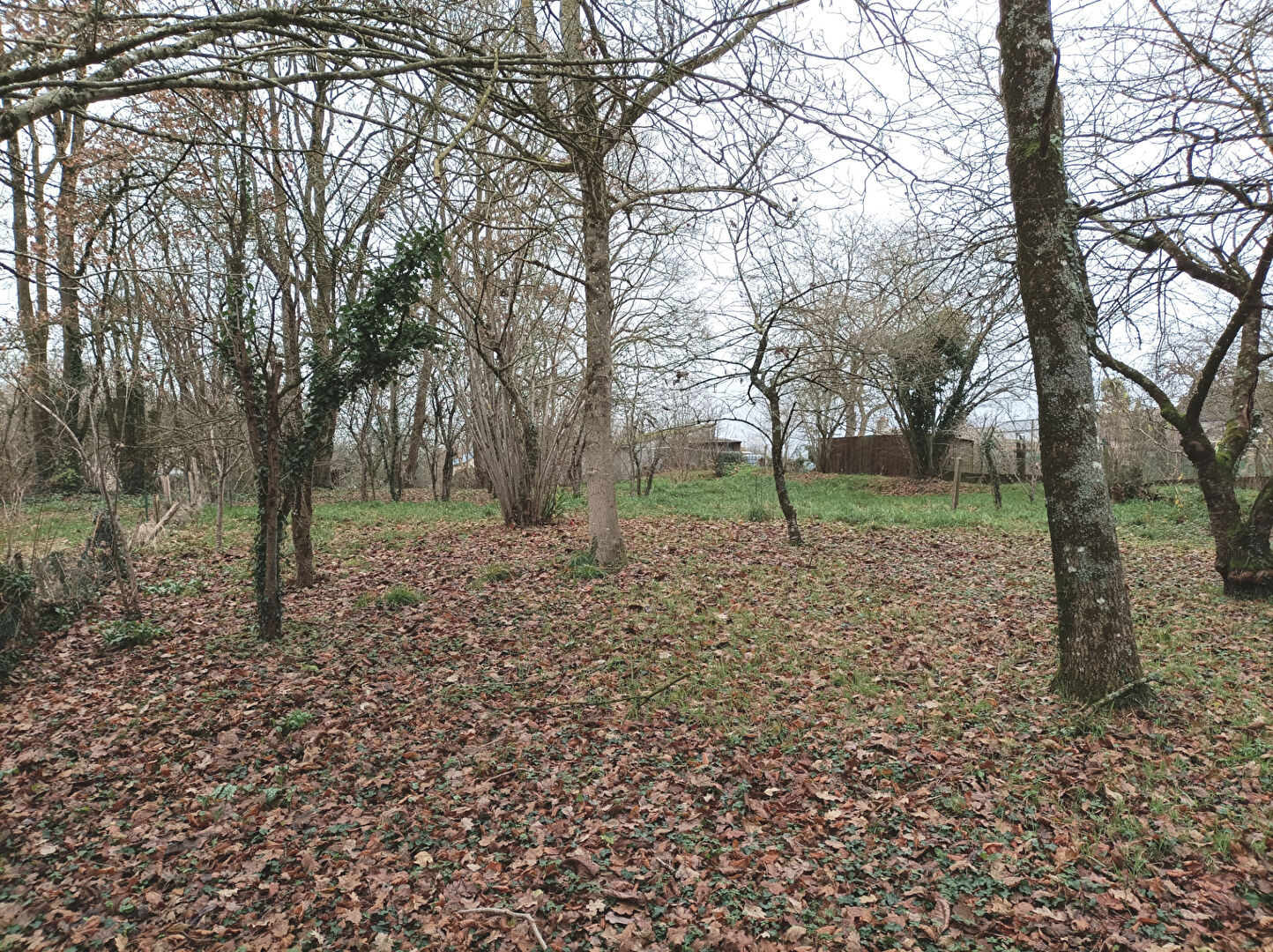 Photo TERRAIN CONSTRUCTIBLE 2189m² MAEN ROCH - ST BRICE EN COGLES CENTRE image 4/4