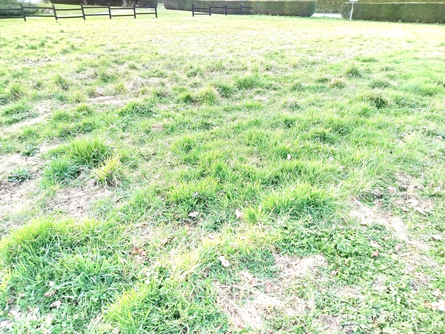 Photo TERRAIN  viabilisé SAINT BRICE EN COGLES image 2/3