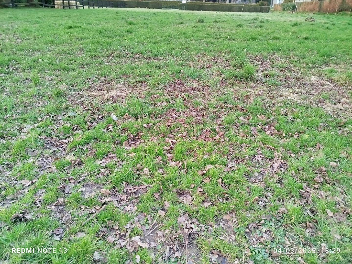 Photo TERRAIN  viabilisé SAINT BRICE EN COGLES image 3/3