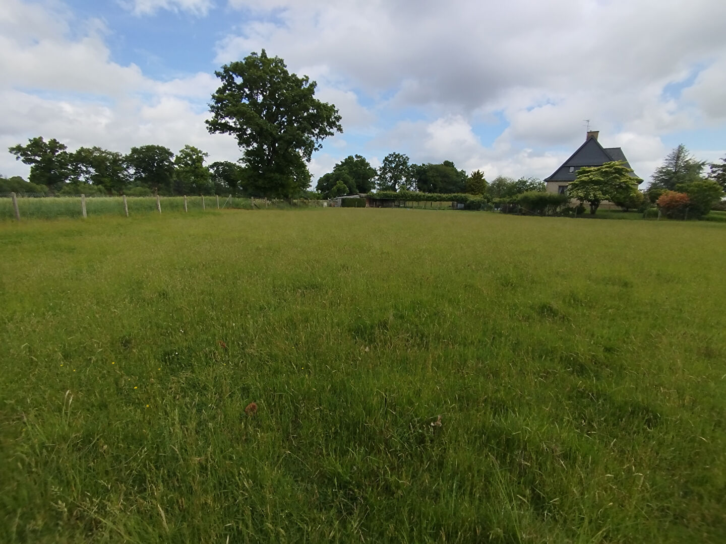 Terrain  1485 m2  ROMAGNE