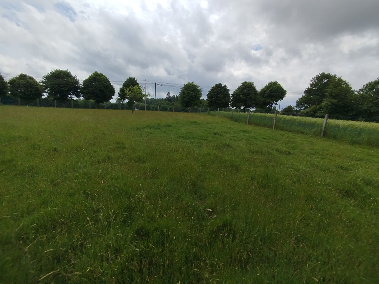 Photo Terrain  1485 m2  ROMAGNE image 2/3