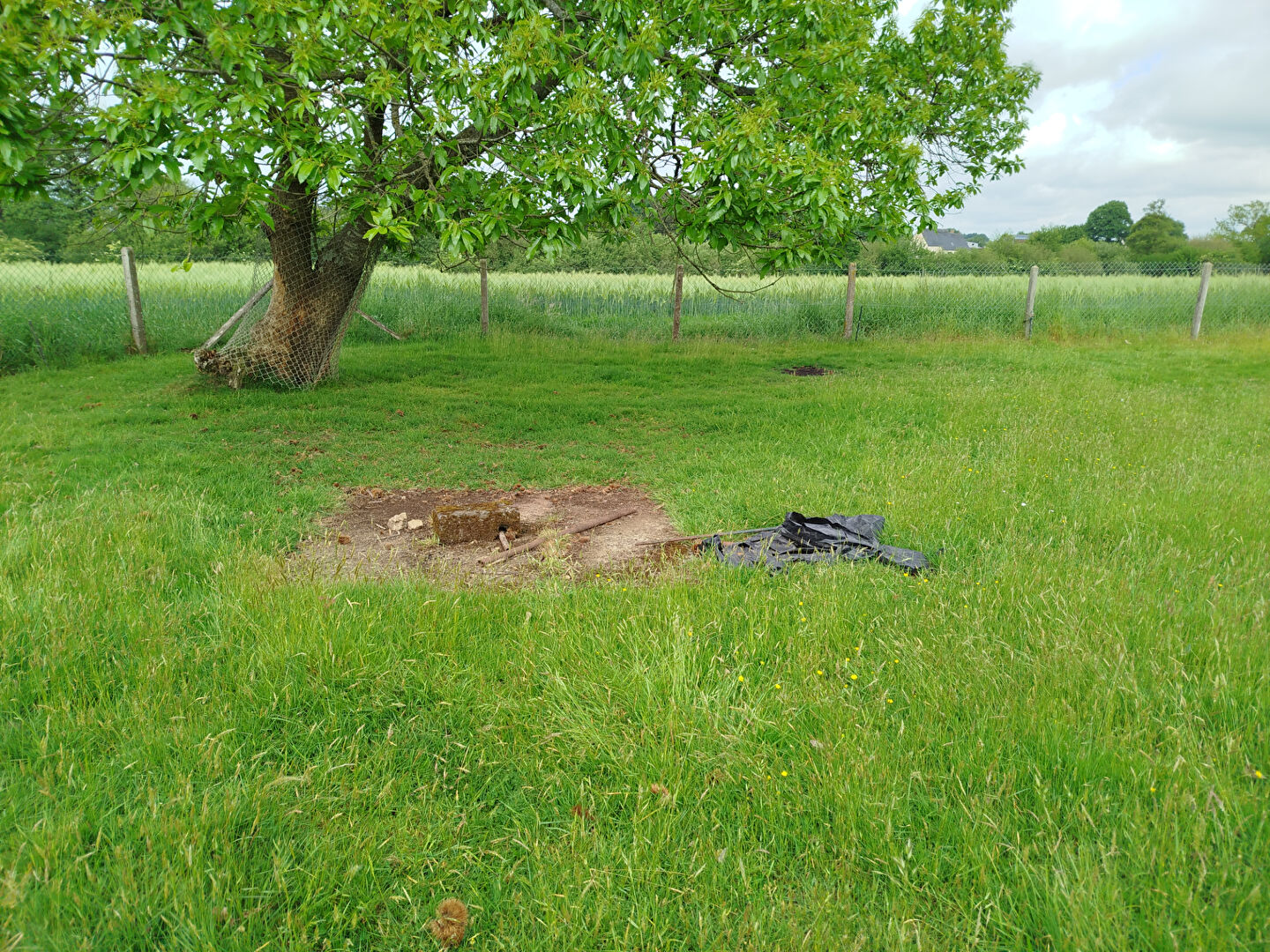 Photo Terrain  1485 m2  ROMAGNE image 3/3