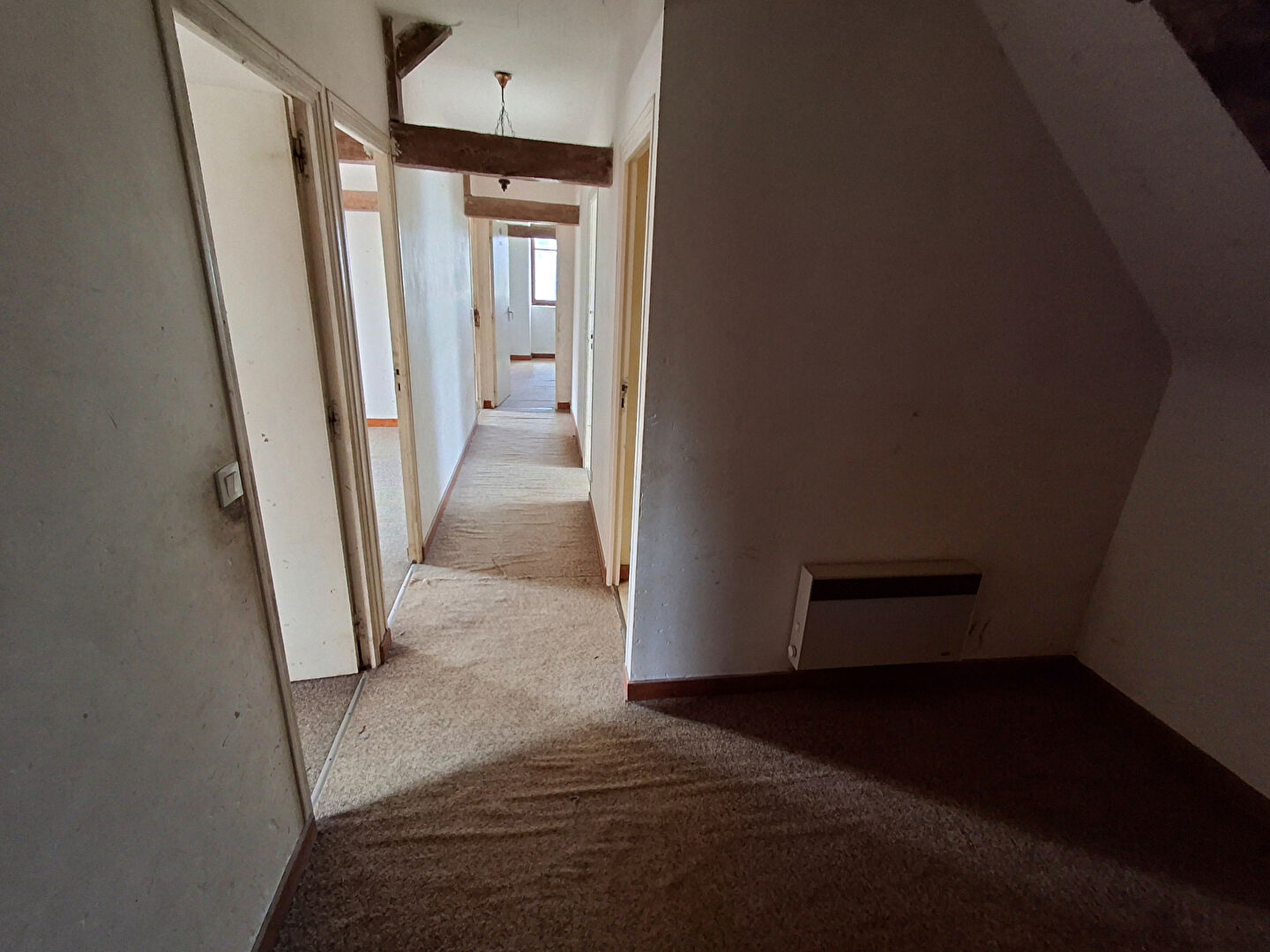 Photo CAMPAGNE DE JUVIGNE image 5/6