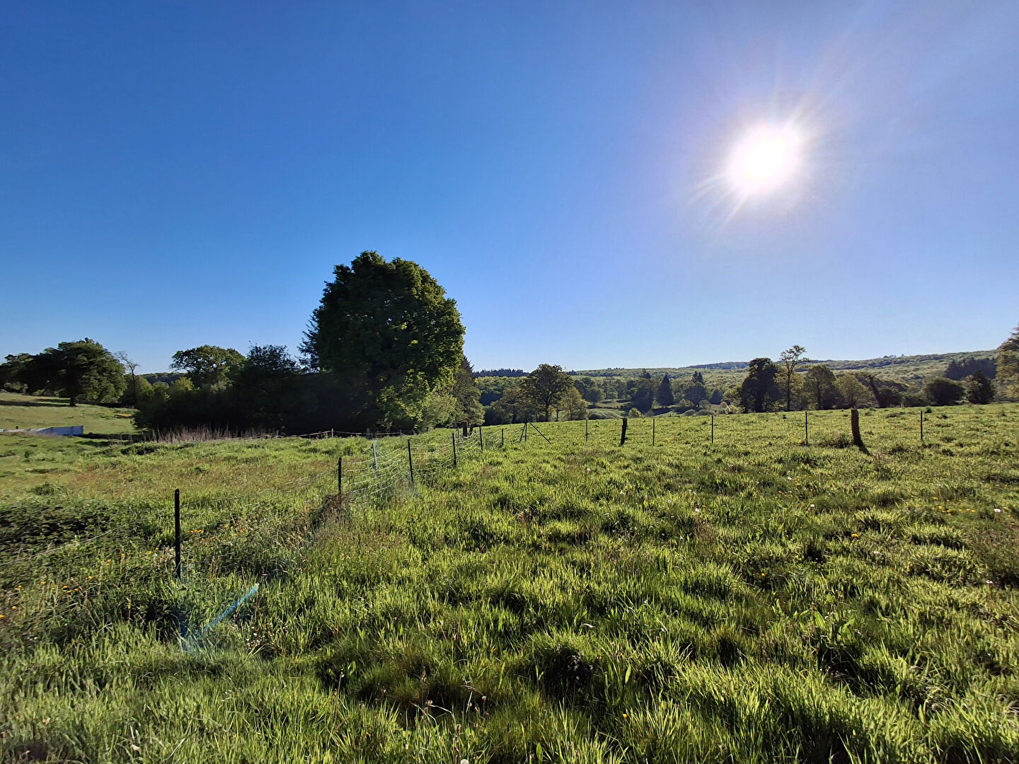 Photo CAMPAGNE DE LECOUSSE image 6/6