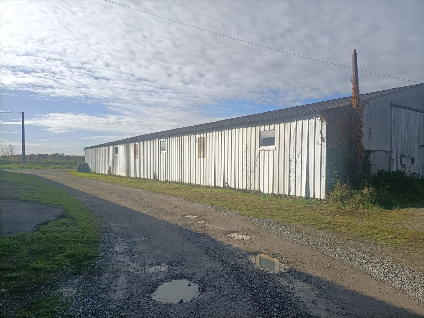 Photo Local d'activité Saint Sauveur Des Landes 550 m2 image 3/3