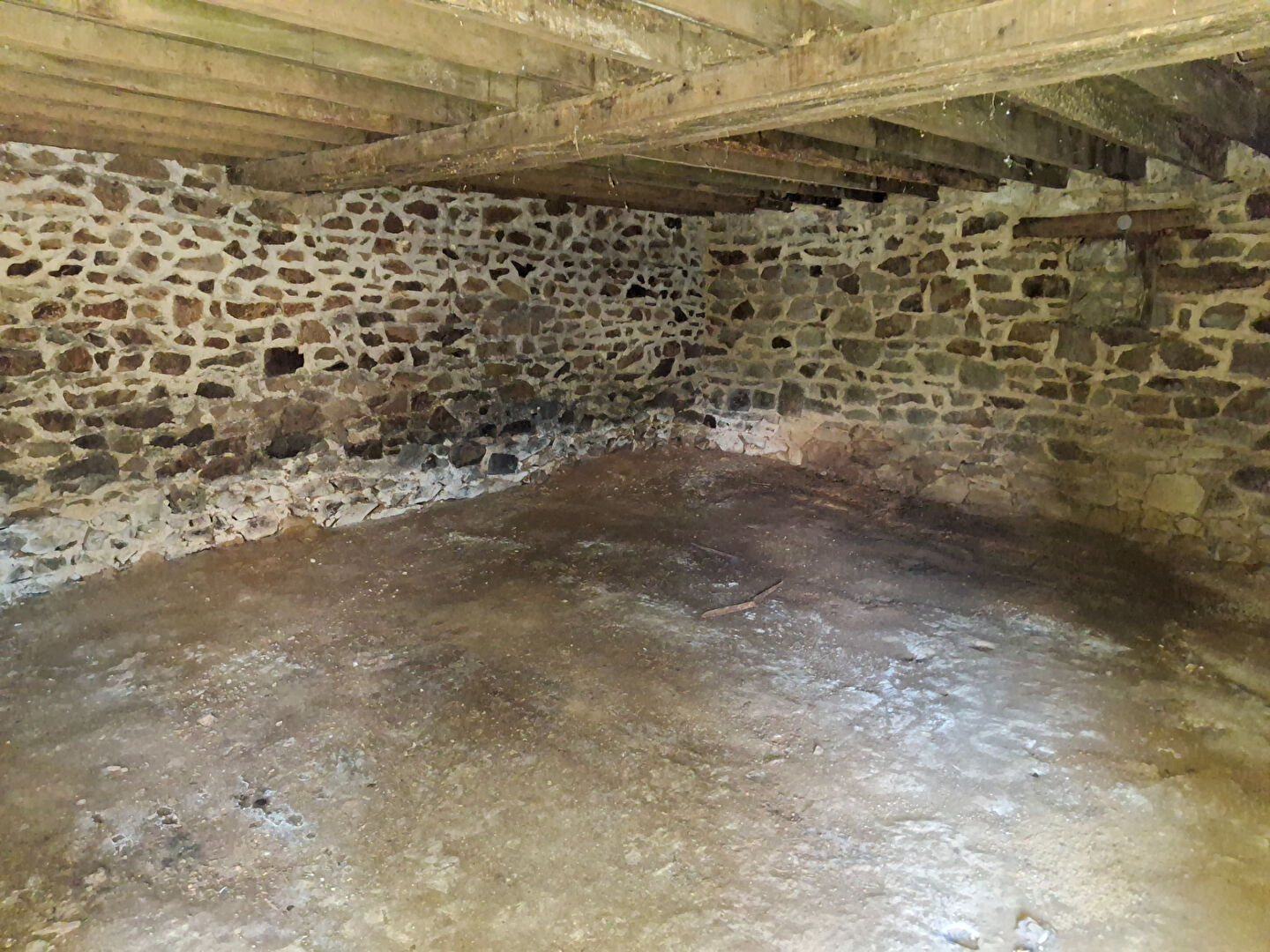 Photo AXE FOUGERES VITRE image 5/6