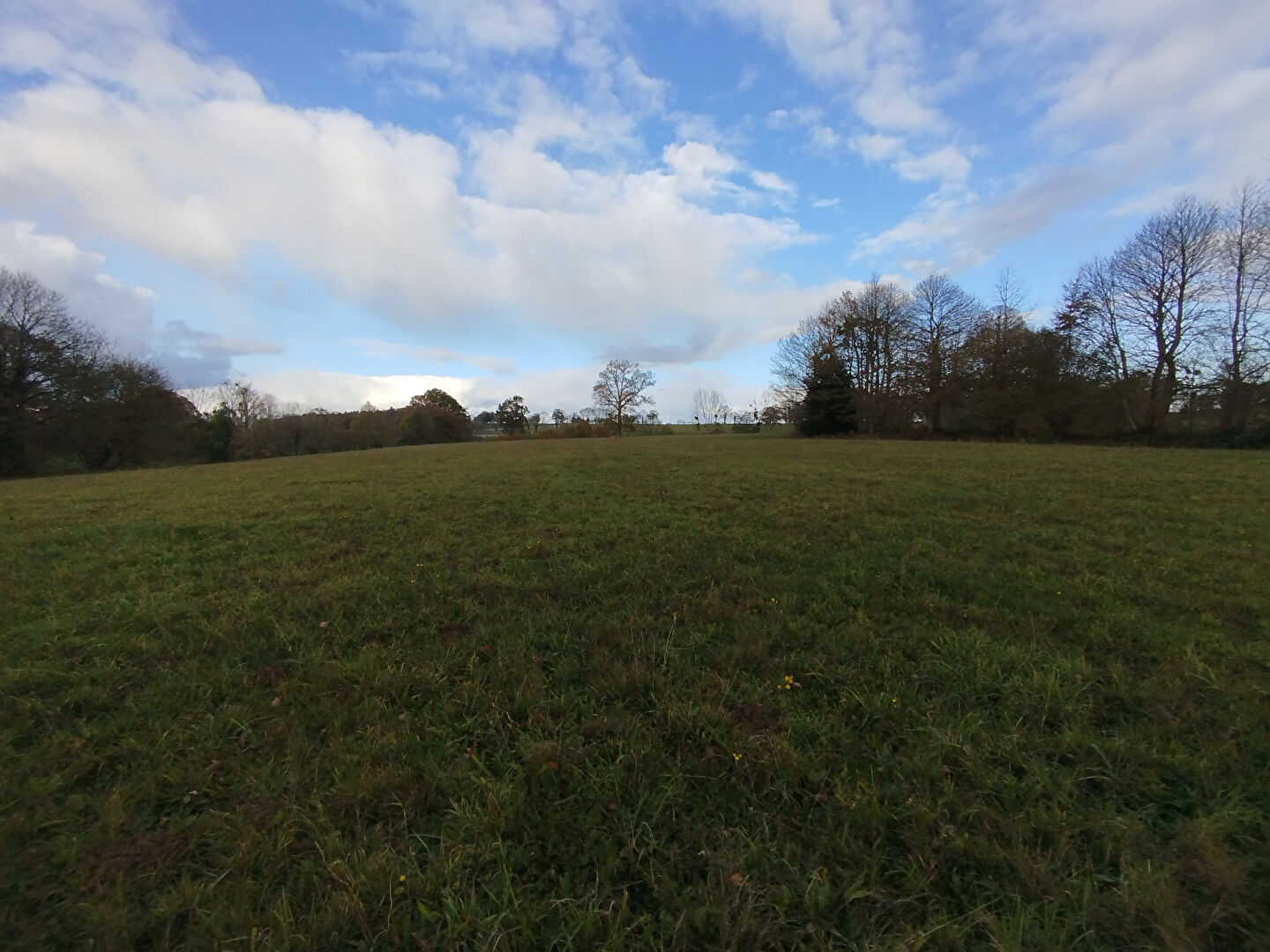 Photo Terrains constructibles à viabiliser image 1/2