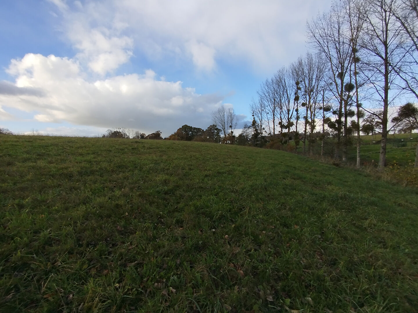 Photo Terrains constructibles à viabiliser image 2/2