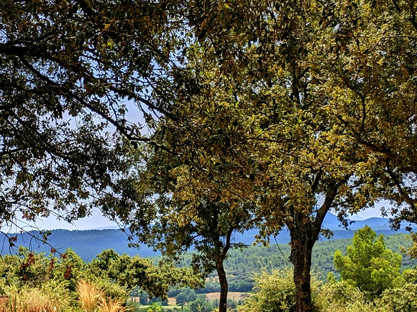 Agence immobilière de AGENCE GROSSI Aups - AGENCE GROSSI
