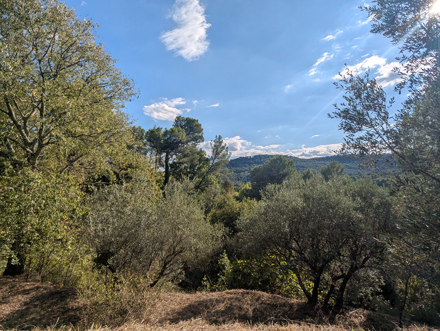 SALERNES, terrain arboré en restanque de 2.975m² , canal d'arrosage - ref CB2604