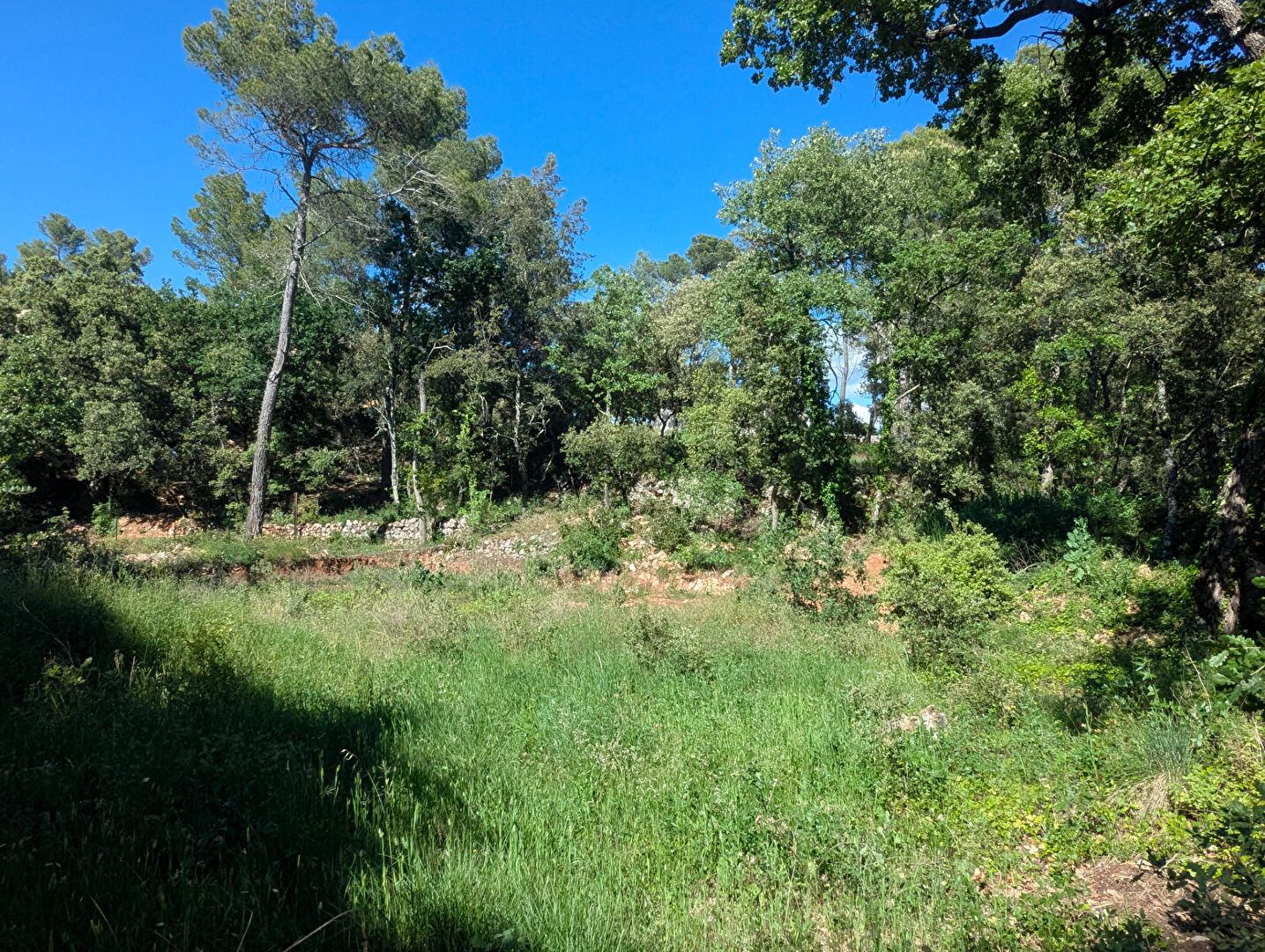 Agence immobilière de AGENCE GROSSI Aups - AGENCE GROSSI